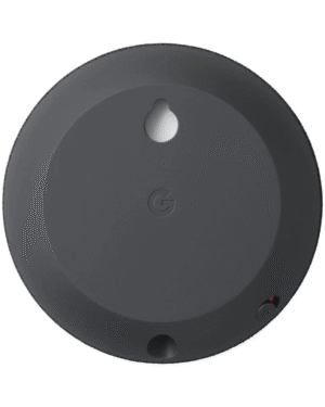Google Nest Mini