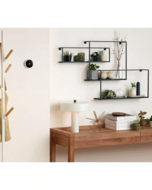 Ring Wi-Fi Video Doorbell